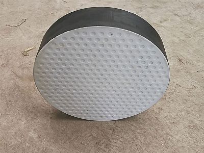 海南区四氟板式橡胶支座易于更换缓冲隔震